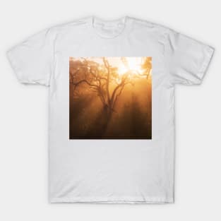 Atmosphere T-Shirt